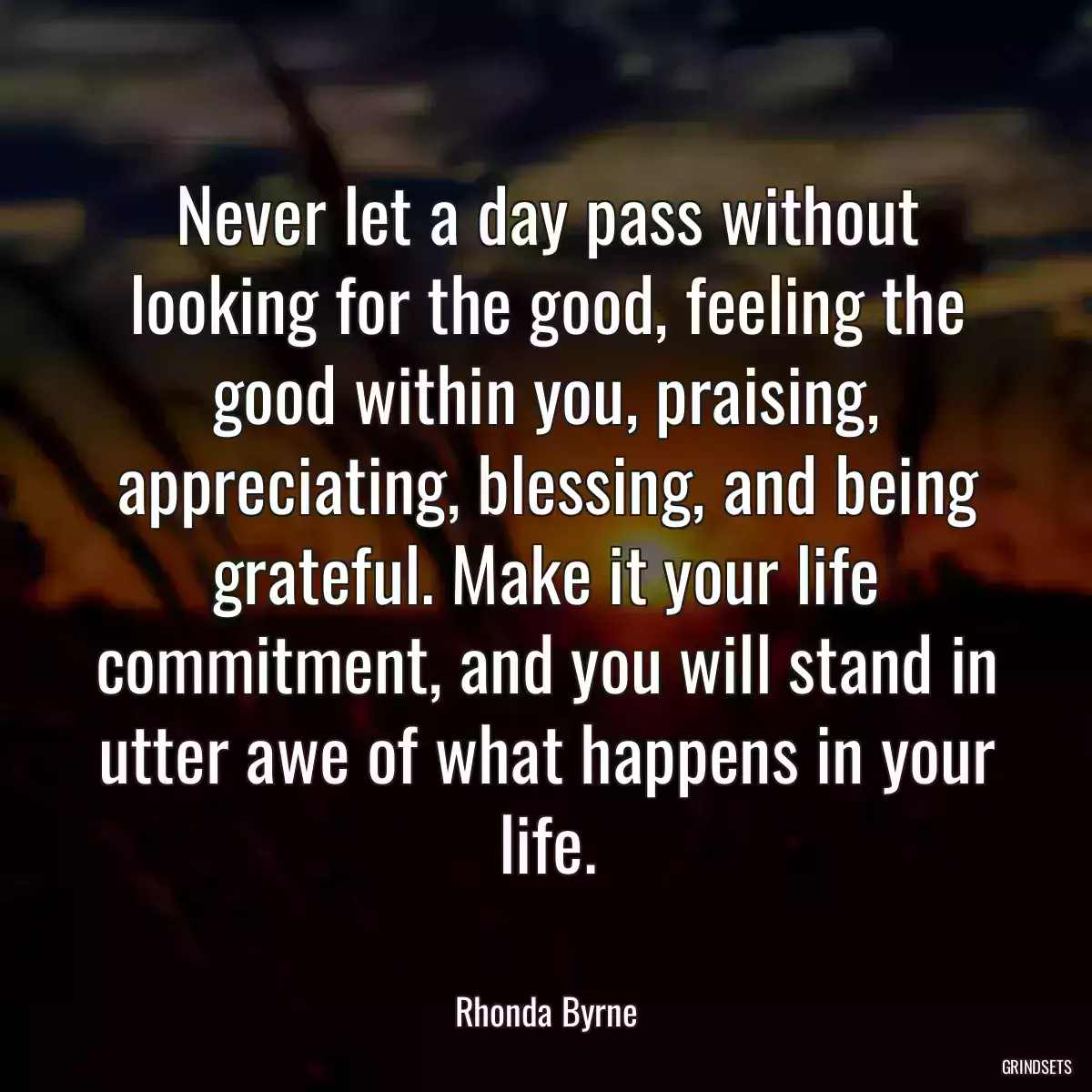 Never let a day pass without looking for the good, feeling the good within you, praising, appreciating, blessing, and being grateful. Make it your life commitment, and you will stand in utter awe of what happens in your life.