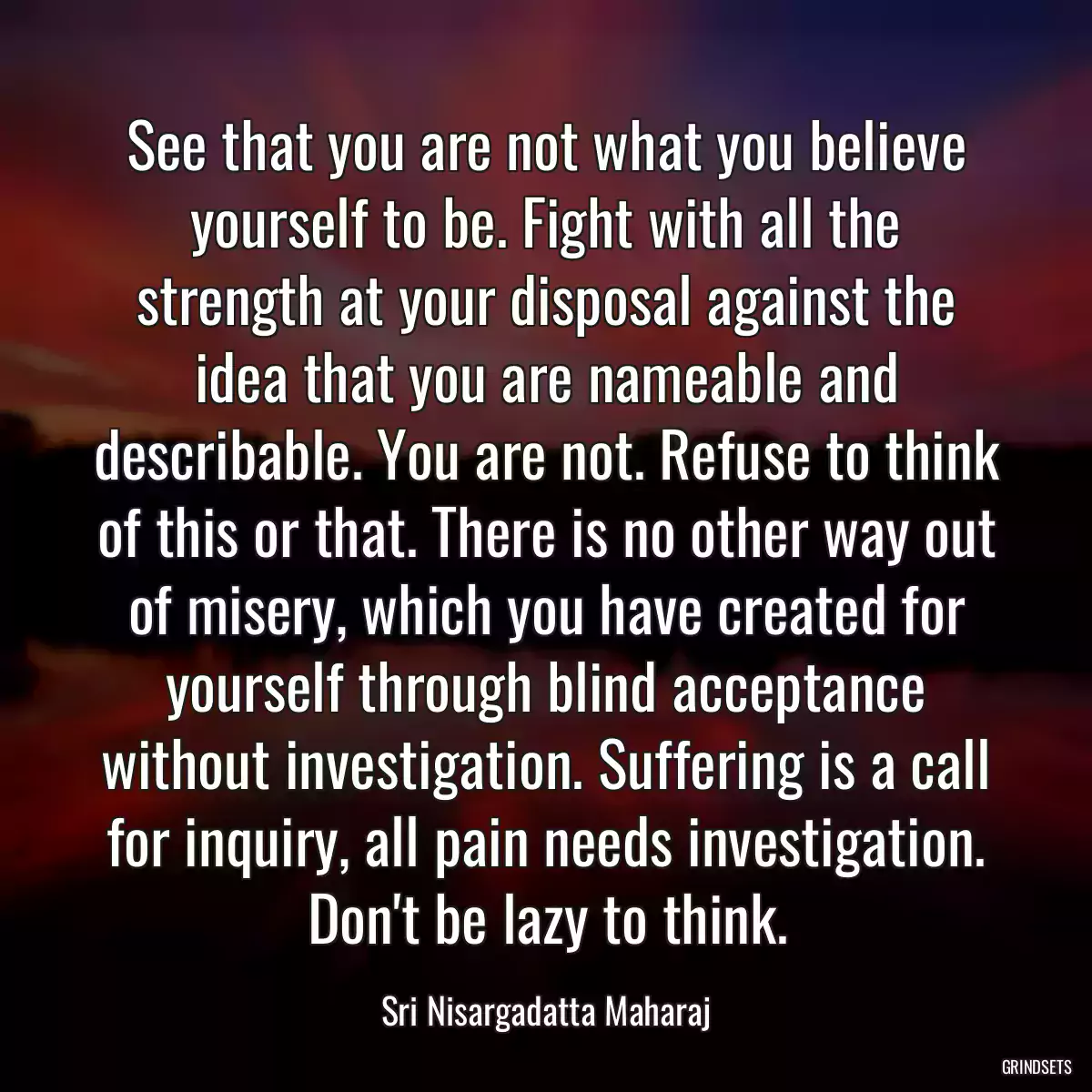 See that you are not what you believe yourself to be. Fight with all the strength at your disposal against the idea that you are nameable and describable. You are not. Refuse to think of this or that. There is no other way out of misery, which you have created for yourself through blind acceptance without investigation. Suffering is a call for inquiry, all pain needs investigation. Don\'t be lazy to think.