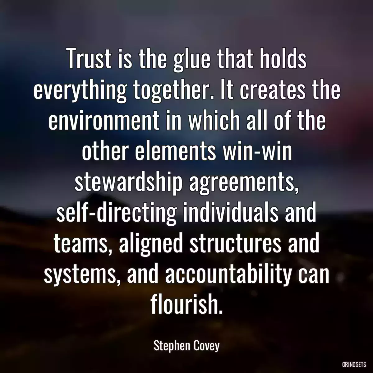 Trust is the glue that holds everything together. It creates the environment in which all of the other elements win-win stewardship agreements, self-directing individuals and teams, aligned structures and systems, and accountability can flourish.