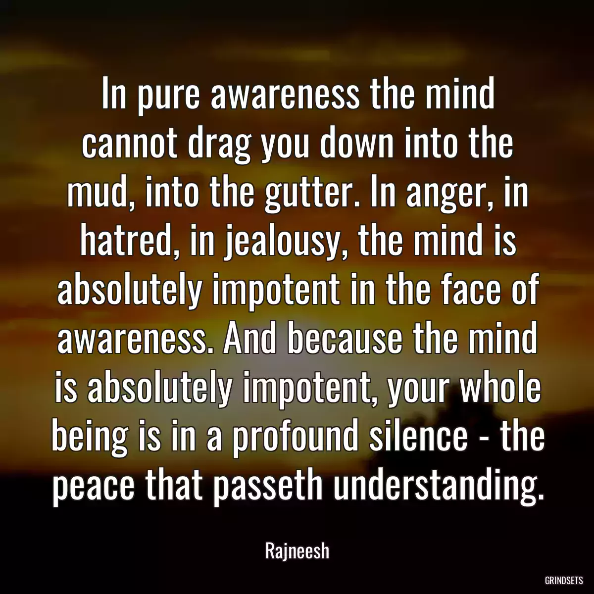 In pure awareness the mind cannot drag you down into the mud, into the gutter. In anger, in hatred, in jealousy, the mind is absolutely impotent in the face of awareness. And because the mind is absolutely impotent, your whole being is in a profound silence - the peace that passeth understanding.