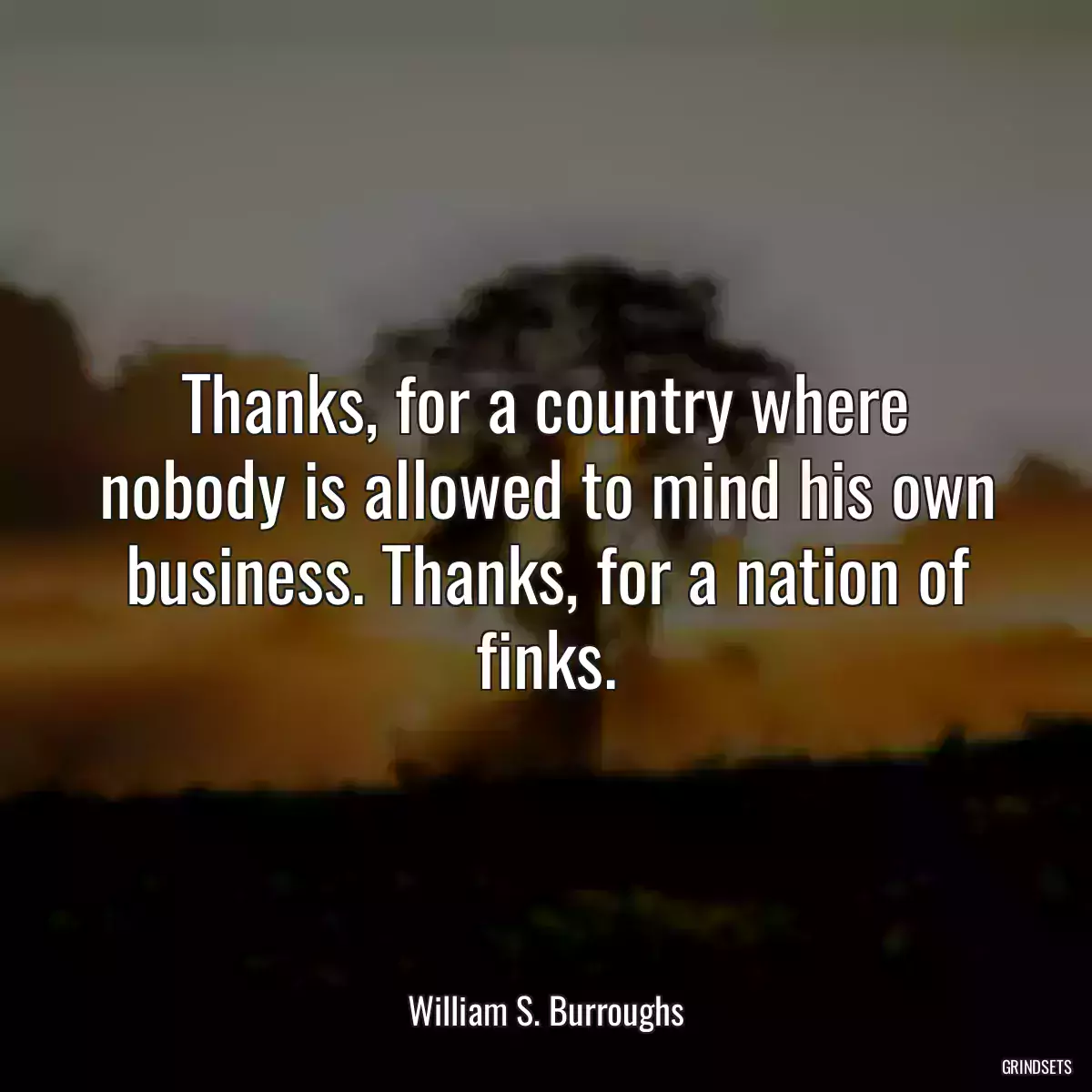 Thanks, for a country where nobody is allowed to mind his own business. Thanks, for a nation of finks.