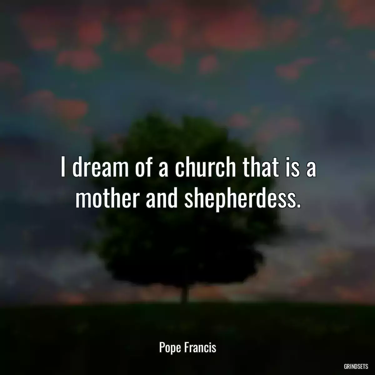 I dream of a church that is a mother and shepherdess.