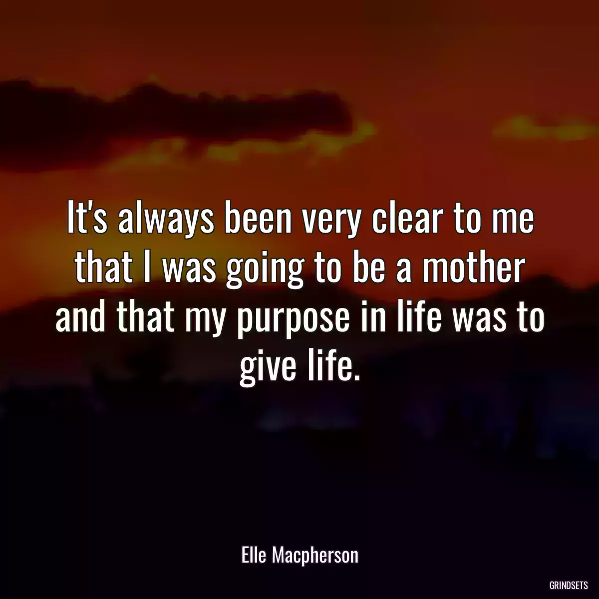 It\'s always been very clear to me that I was going to be a mother and that my purpose in life was to give life.