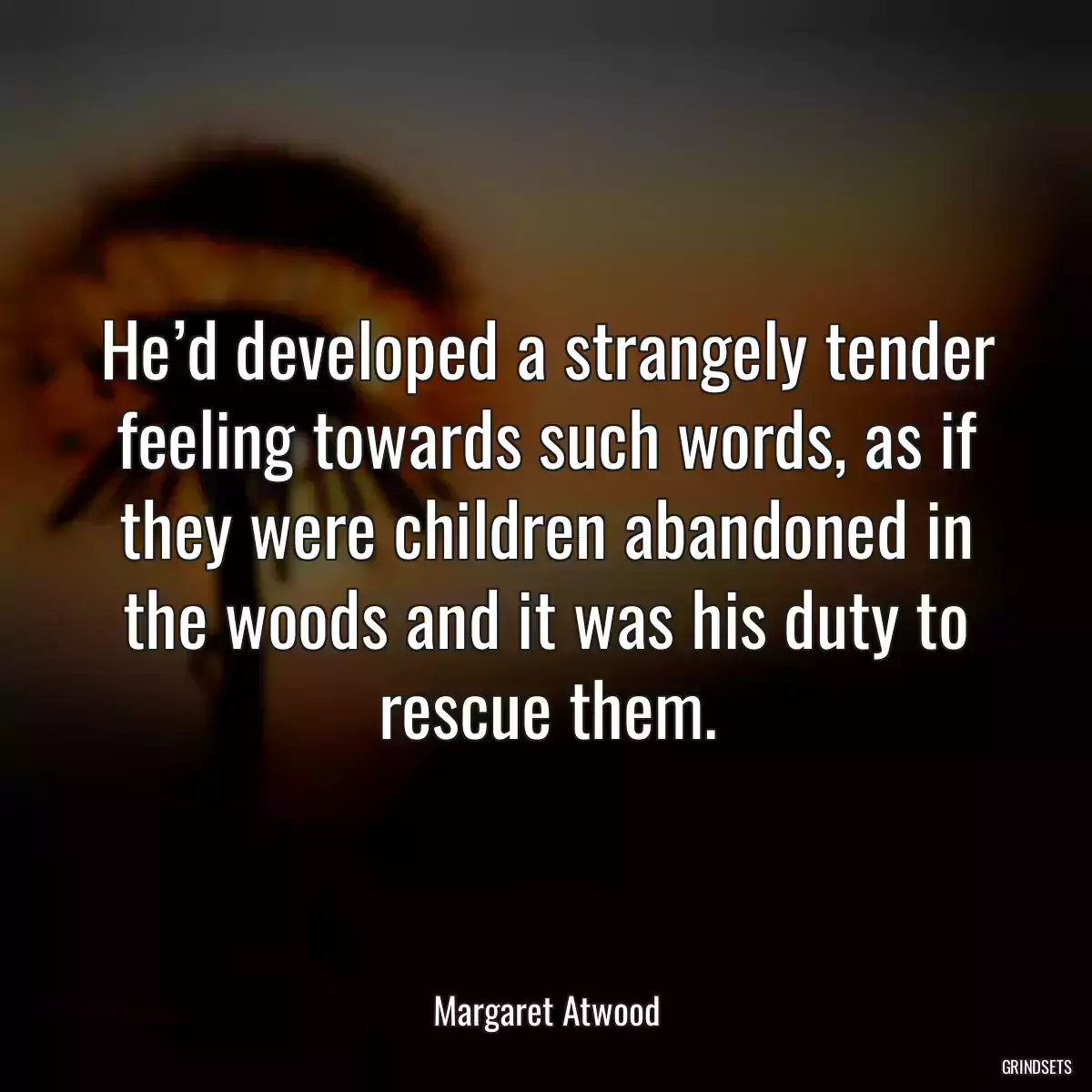 He’d developed a strangely tender feeling towards such words, as if they were children abandoned in the woods and it was his duty to rescue them.