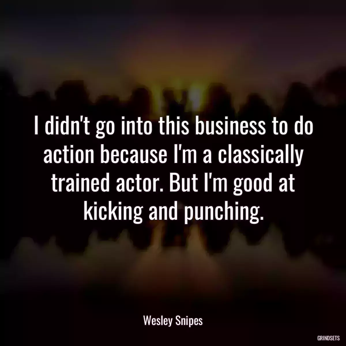 I didn\'t go into this business to do action because I\'m a classically trained actor. But I\'m good at kicking and punching.