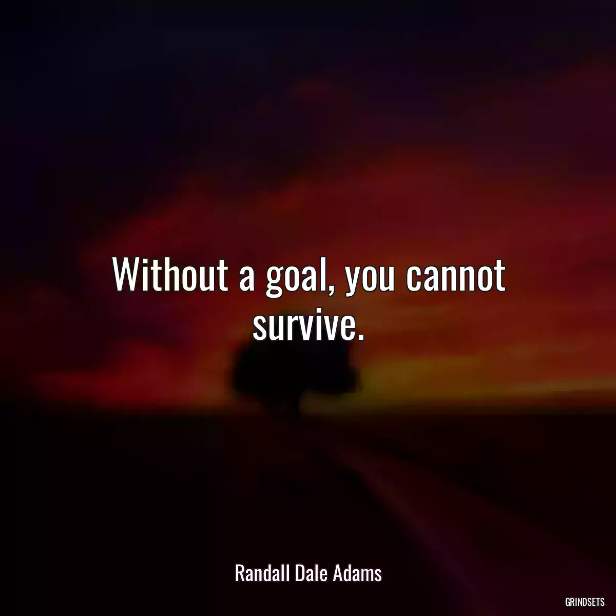 Without a goal, you cannot survive.