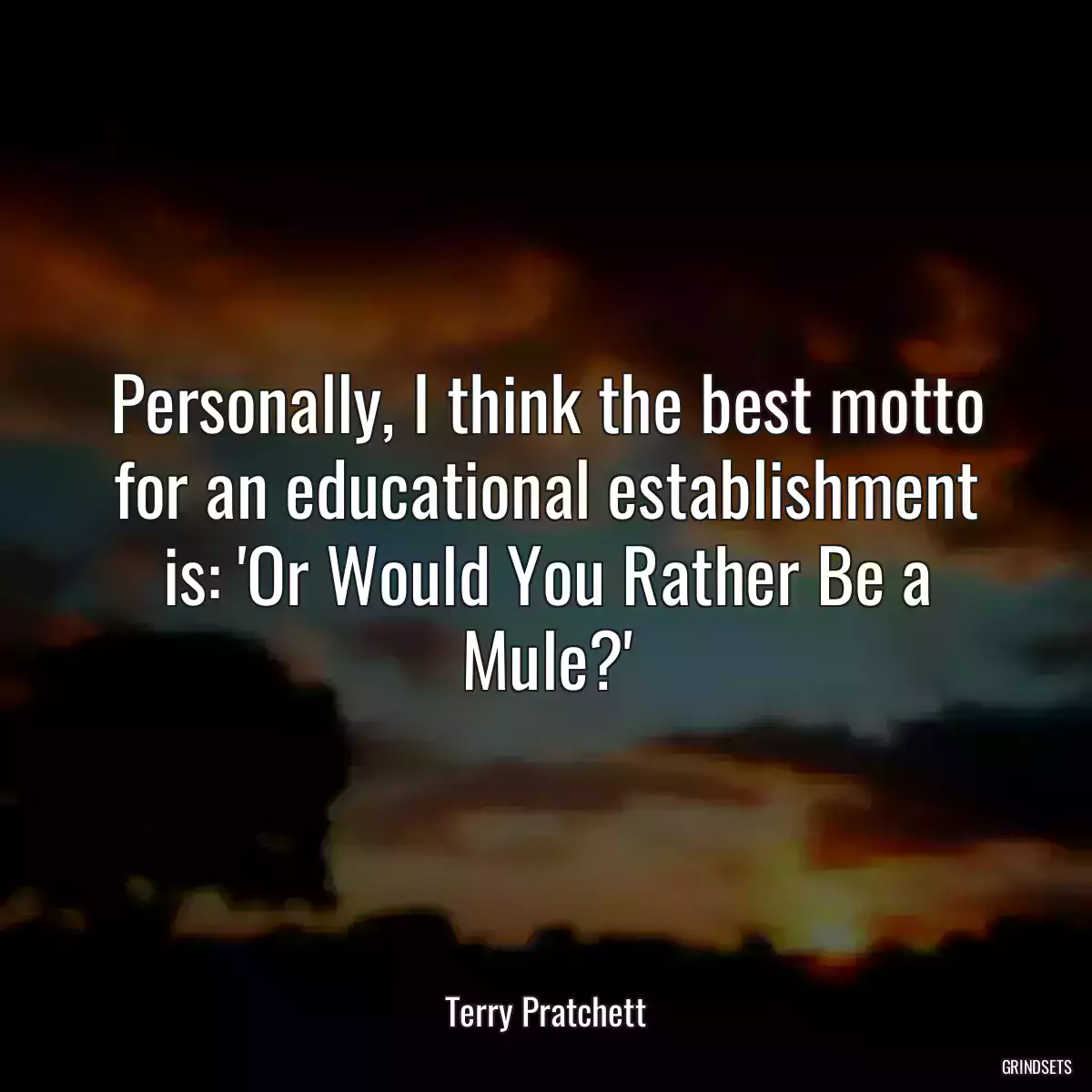 Personally, I think the best motto for an educational establishment is: \'Or Would You Rather Be a Mule?\'