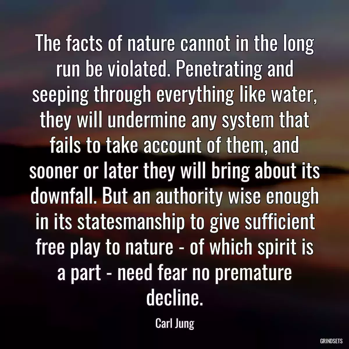 The facts of nature cannot in the long run be violated. Penetrating and seeping through everything like water, they will undermine any system that fails to take account of them, and sooner or later they will bring about its downfall. But an authority wise enough in its statesmanship to give sufficient free play to nature - of which spirit is a part - need fear no premature decline.