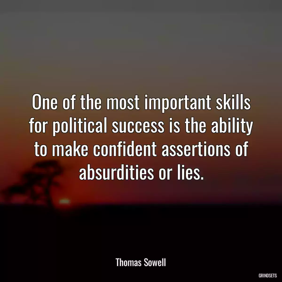 One of the most important skills for political success is the ability to make confident assertions of absurdities or lies.