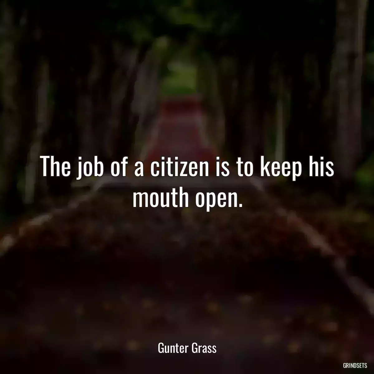 The job of a citizen is to keep his mouth open.