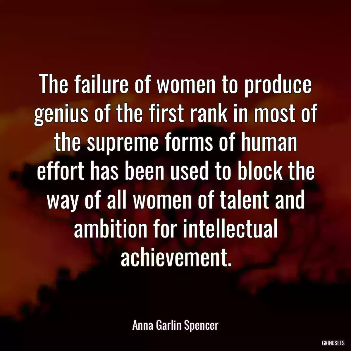 The failure of women to produce genius of the first rank in most of the supreme forms of human effort has been used to block the way of all women of talent and ambition for intellectual achievement.