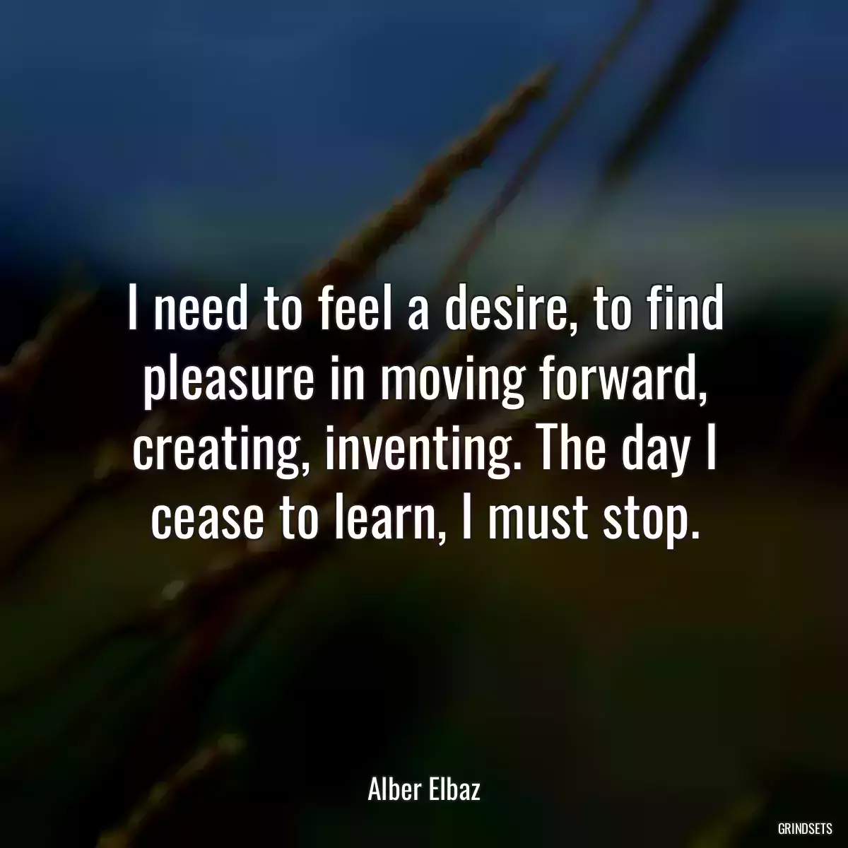 I need to feel a desire, to find pleasure in moving forward, creating, inventing. The day I cease to learn, I must stop.