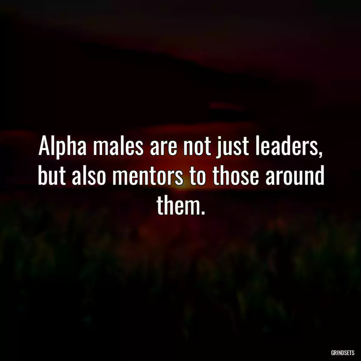 Alpha males are not just leaders, but also mentors to those around them.