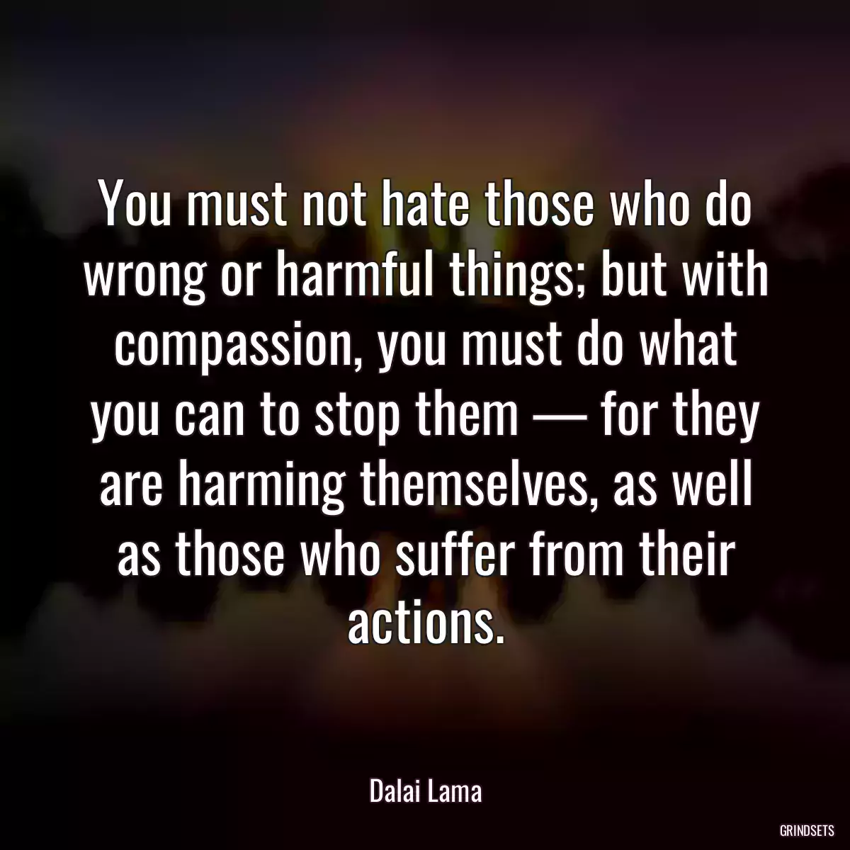 You must not hate those who do wrong or harmful things; but with compassion, you must do what you can to stop them — for they are harming themselves, as well as those who suffer from their actions.