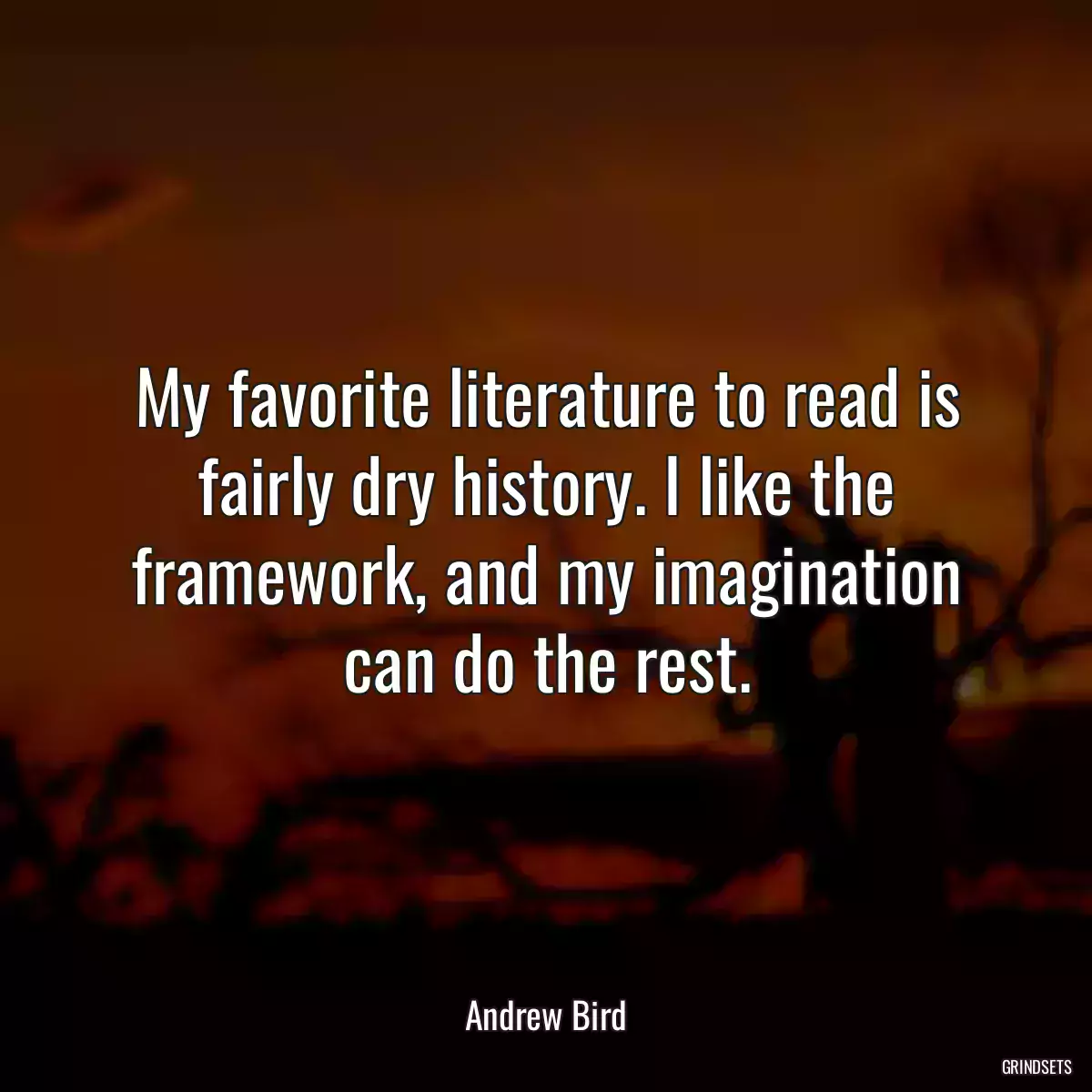 My favorite literature to read is fairly dry history. I like the framework, and my imagination can do the rest.