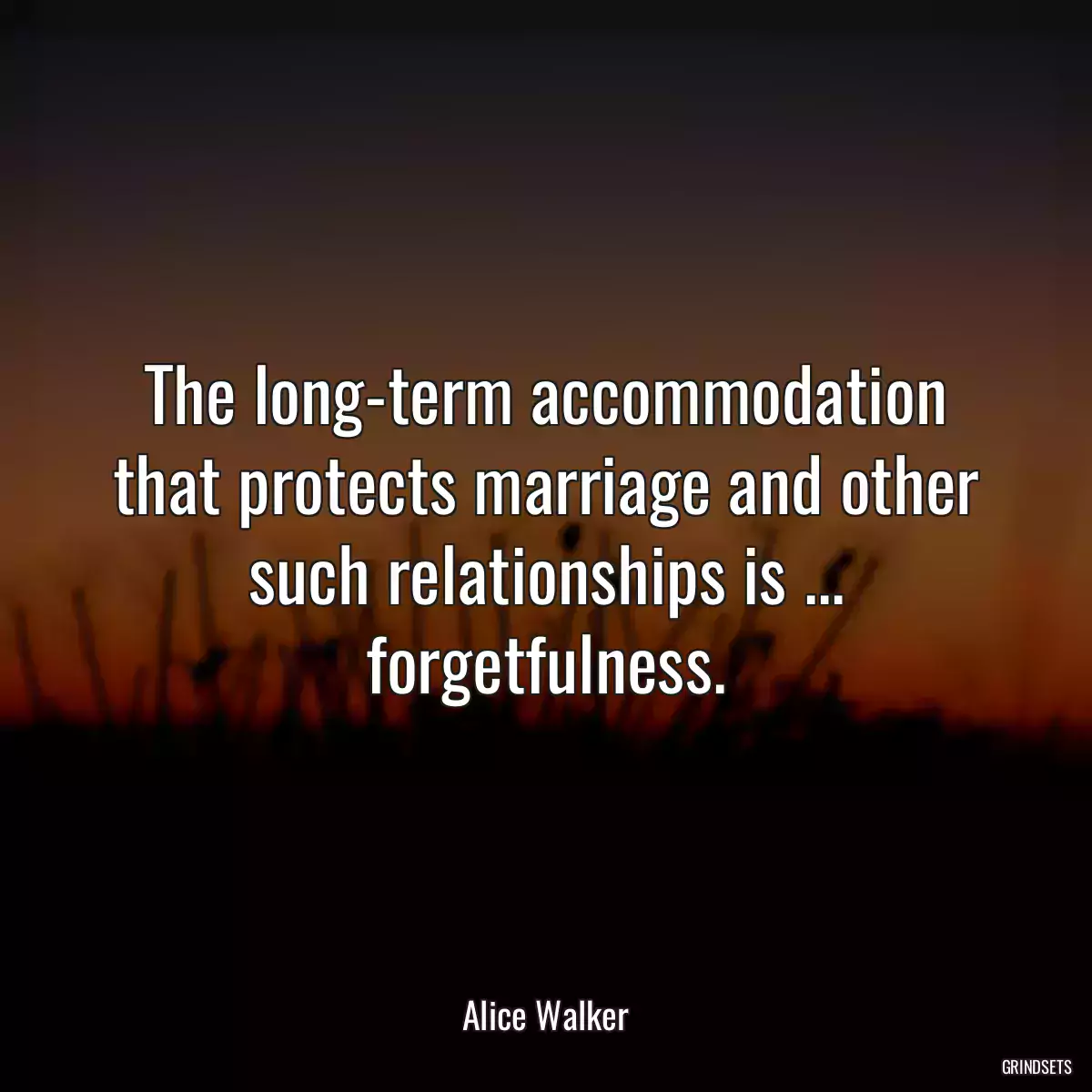 The long-term accommodation that protects marriage and other such relationships is ... forgetfulness.