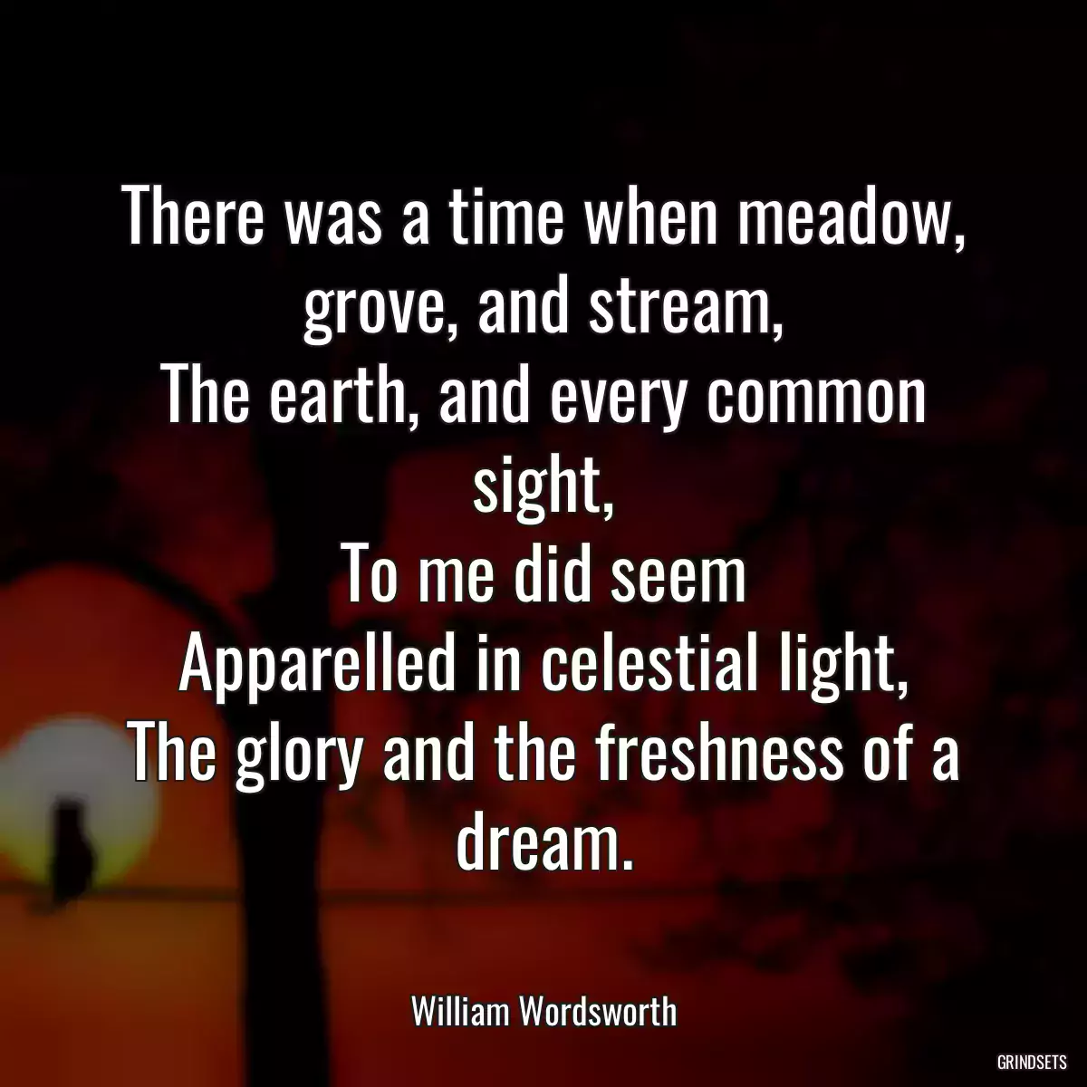 There was a time when meadow, grove, and stream,
The earth, and every common sight,
To me did seem
Apparelled in celestial light,
The glory and the freshness of a dream.