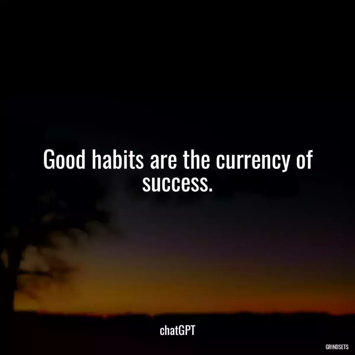 Good habits are the currency of success.