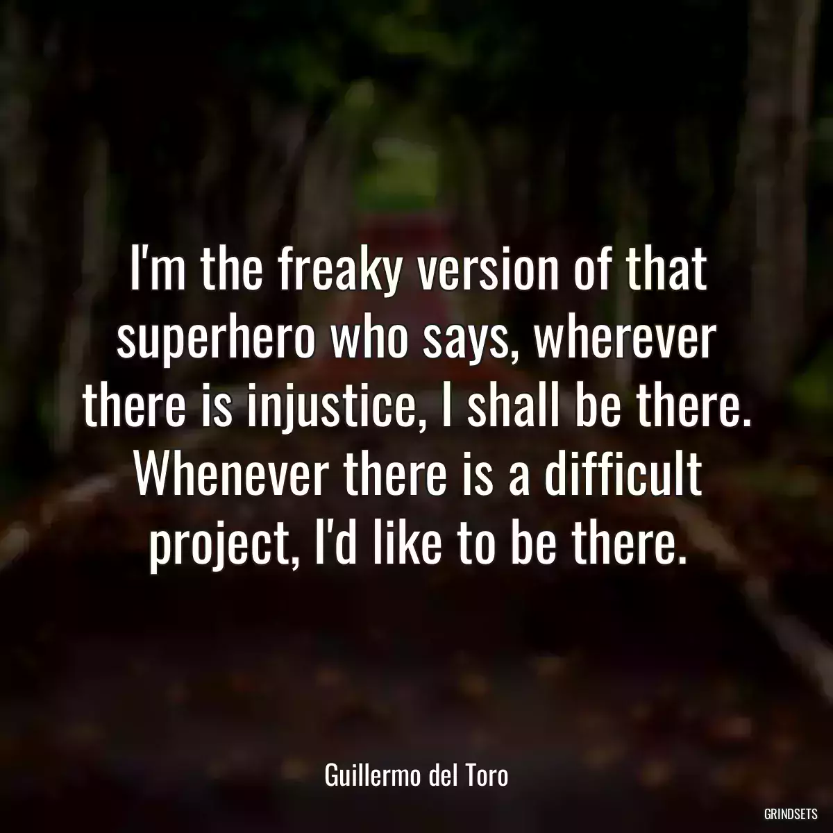 I\'m the freaky version of that superhero who says, wherever there is injustice, I shall be there. Whenever there is a difficult project, I\'d like to be there.