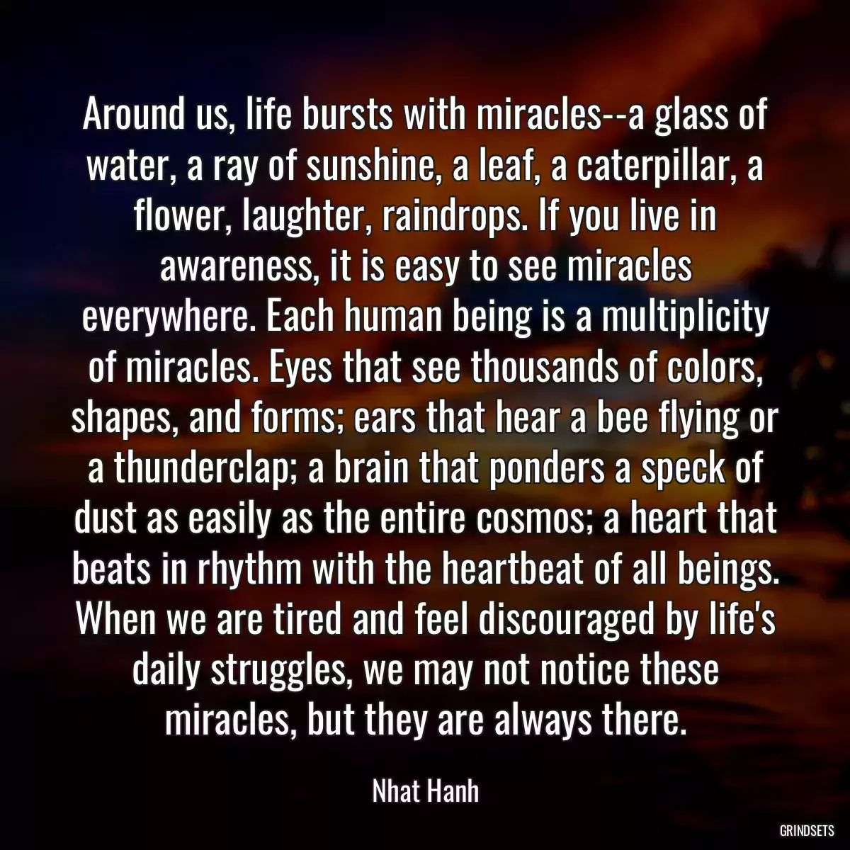 Around us, life bursts with miracles--a glass of water, a ray of sunshine, a leaf, a caterpillar, a flower, laughter, raindrops. If you live in awareness, it is easy to see miracles everywhere. Each human being is a multiplicity of miracles. Eyes that see thousands of colors, shapes, and forms; ears that hear a bee flying or a thunderclap; a brain that ponders a speck of dust as easily as the entire cosmos; a heart that beats in rhythm with the heartbeat of all beings. When we are tired and feel discouraged by life\'s daily struggles, we may not notice these miracles, but they are always there.