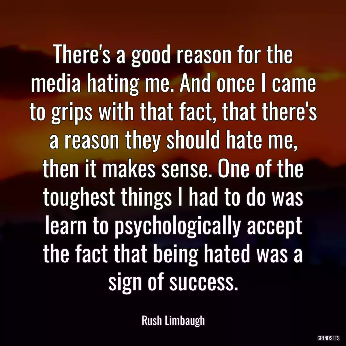 There\'s a good reason for the media hating me. And once I came to grips with that fact, that there\'s a reason they should hate me, then it makes sense. One of the toughest things I had to do was learn to psychologically accept the fact that being hated was a sign of success.