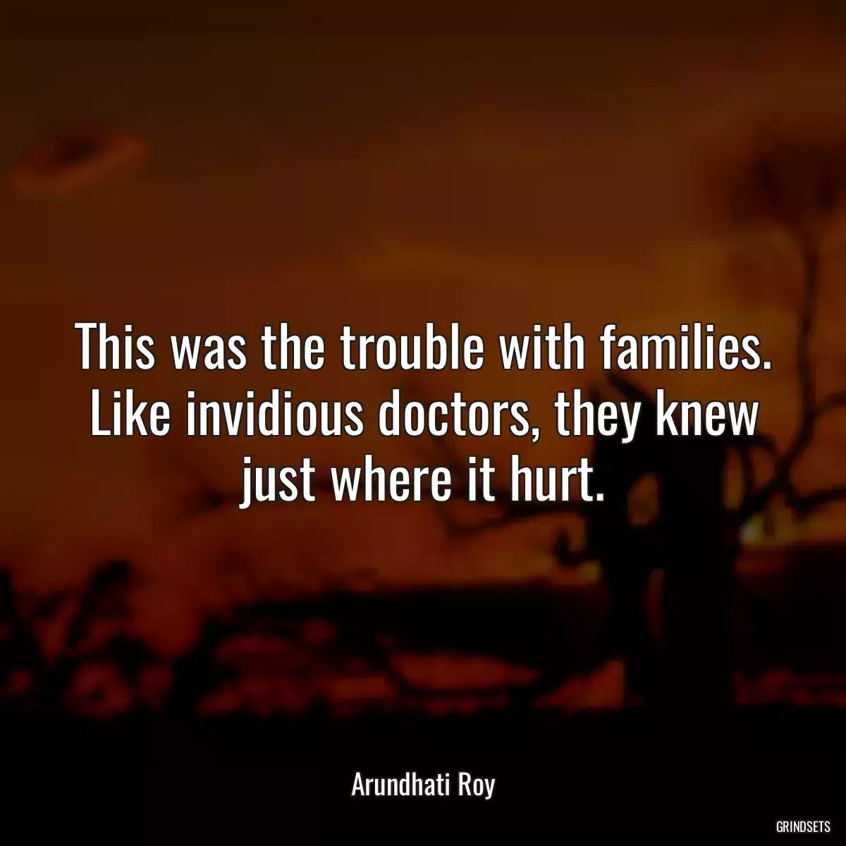 This was the trouble with families. Like invidious doctors, they knew just where it hurt.