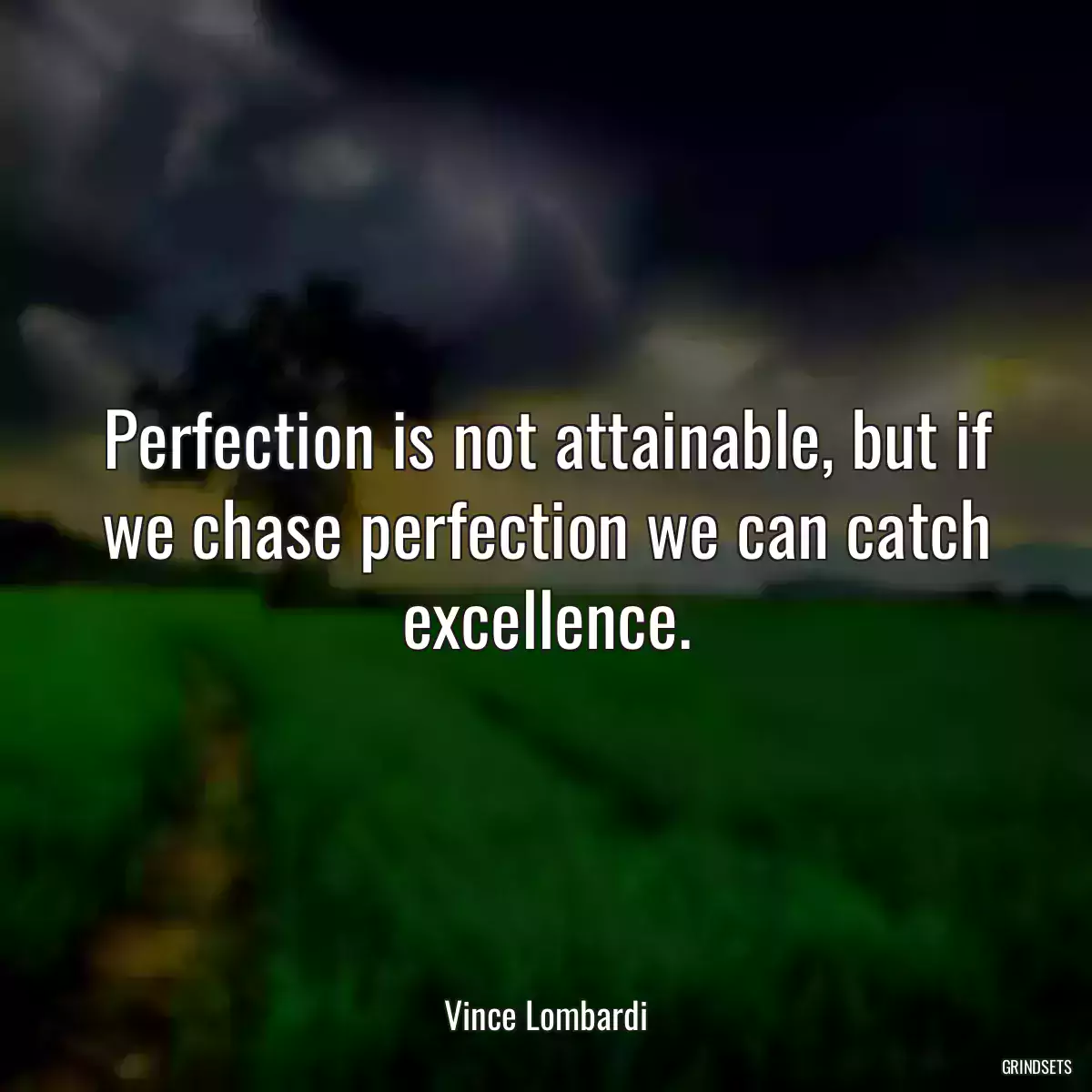 Perfection is not attainable, but if we chase perfection we can catch excellence.