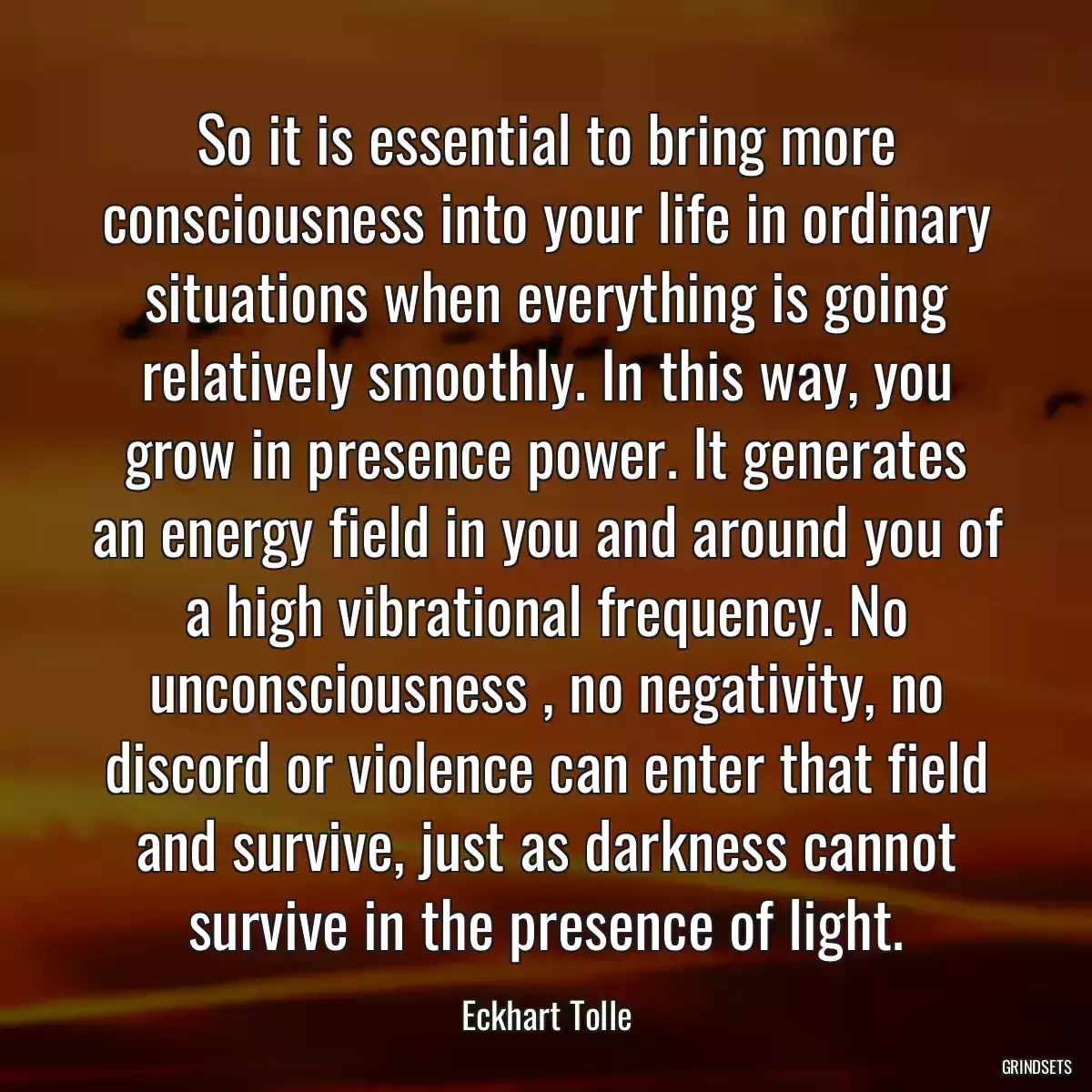 So it is essential to bring more consciousness into your life in ordinary situations when everything is going relatively smoothly. In this way, you grow in presence power. It generates an energy field in you and around you of a high vibrational frequency. No unconsciousness , no negativity, no discord or violence can enter that field and survive, just as darkness cannot survive in the presence of light.