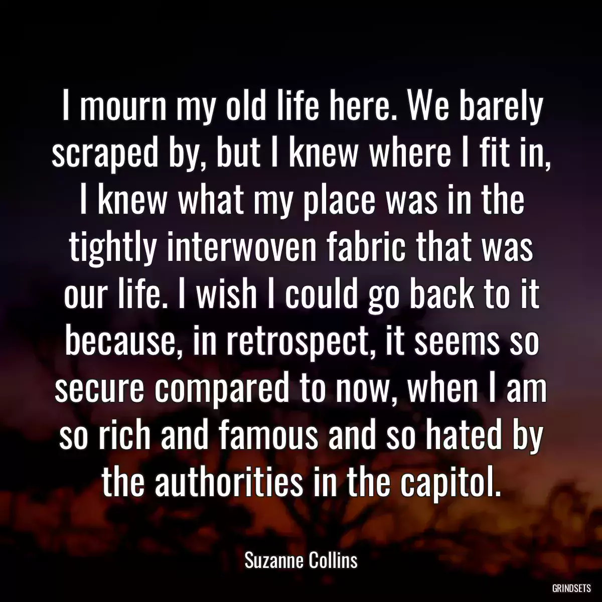 I mourn my old life here. We barely scraped by, but I knew where I fit in, I knew what my place was in the tightly interwoven fabric that was our life. I wish I could go back to it because, in retrospect, it seems so secure compared to now, when I am so rich and famous and so hated by the authorities in the capitol.