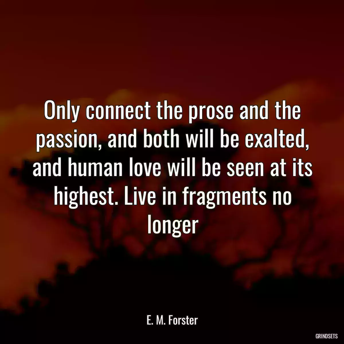 Only connect the prose and the passion, and both will be exalted, and human love will be seen at its highest. Live in fragments no longer