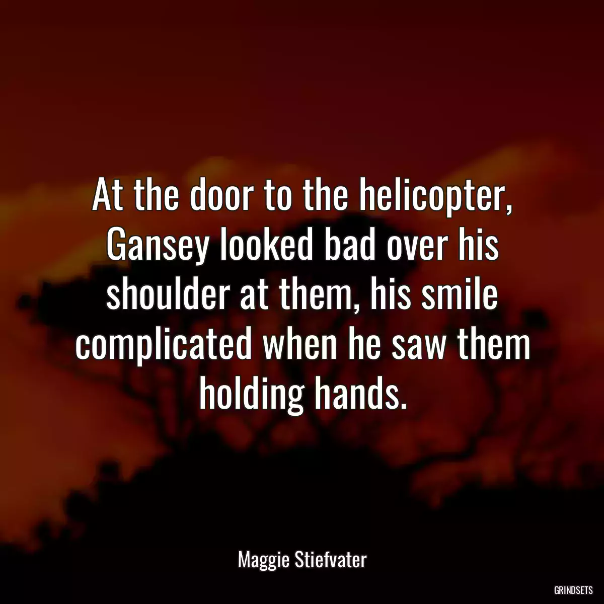 At the door to the helicopter, Gansey looked bad over his shoulder at them, his smile complicated when he saw them holding hands.