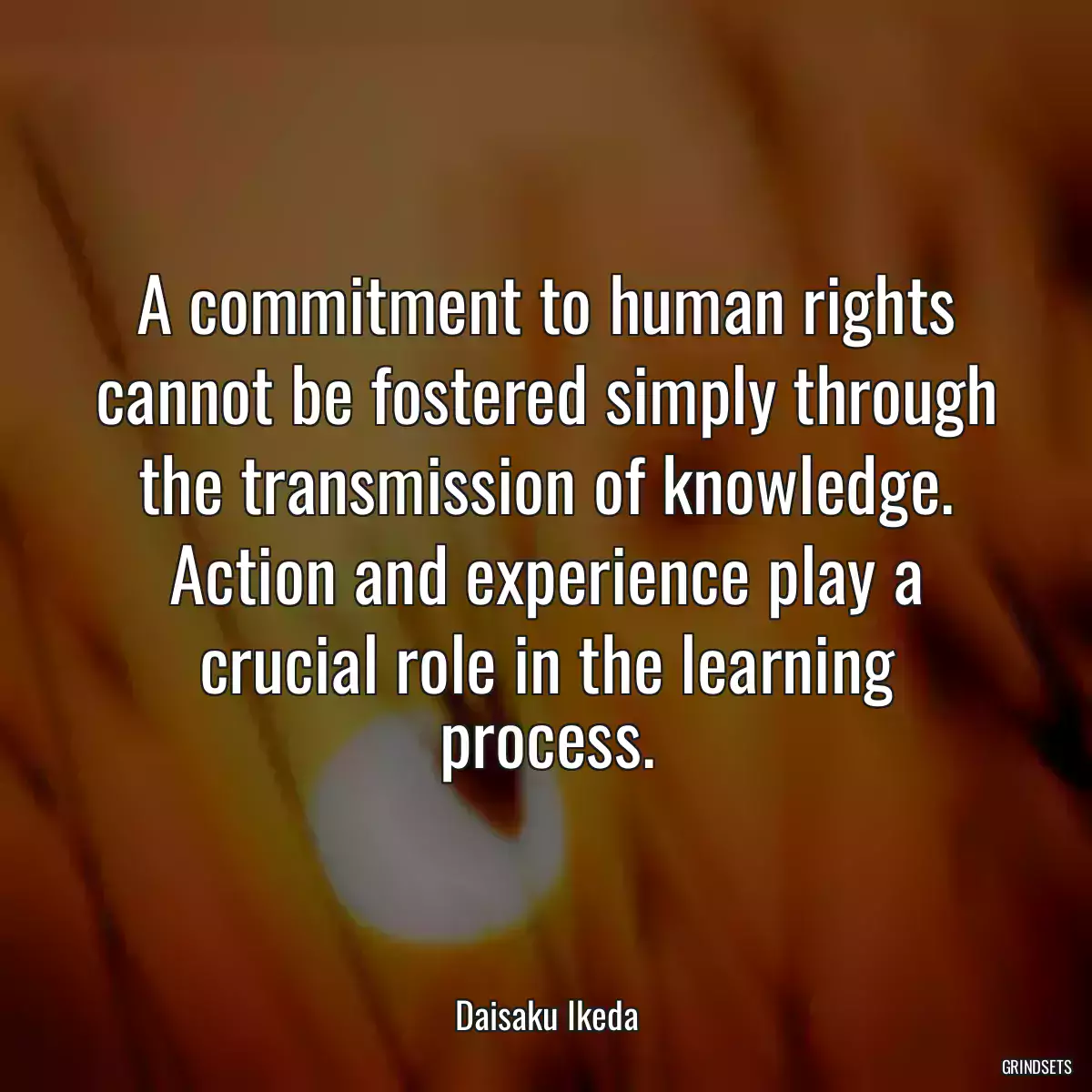 A commitment to human rights cannot be fostered simply through the transmission of knowledge. Action and experience play a crucial role in the learning process.