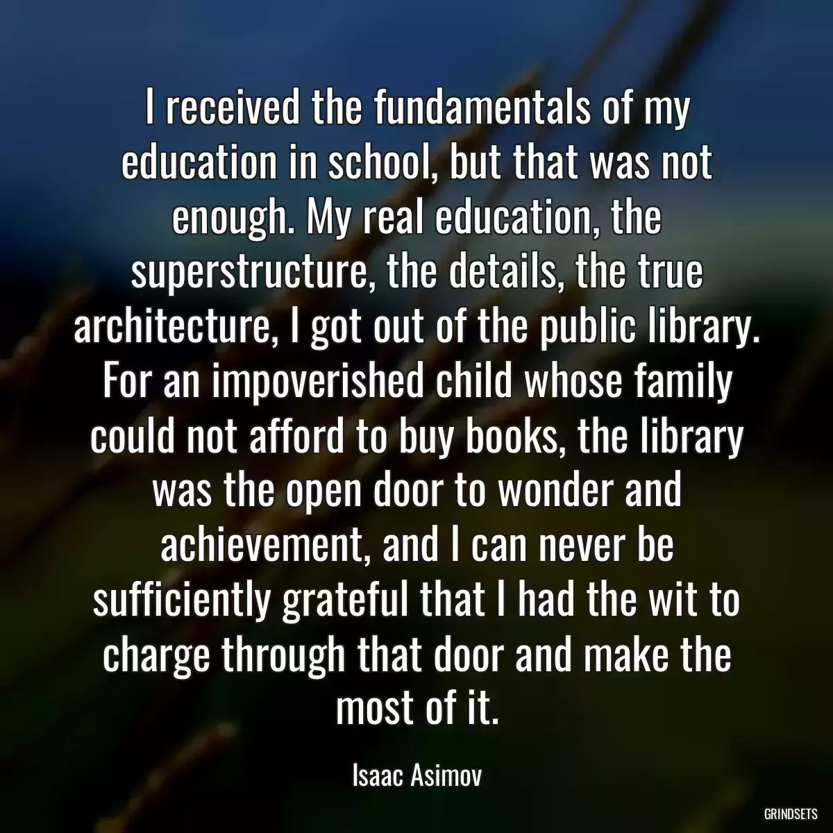 I received the fundamentals of my education in school, but that was not enough. My real education, the superstructure, the details, the true architecture, I got out of the public library. For an impoverished child whose family could not afford to buy books, the library was the open door to wonder and achievement, and I can never be sufficiently grateful that I had the wit to charge through that door and make the most of it.