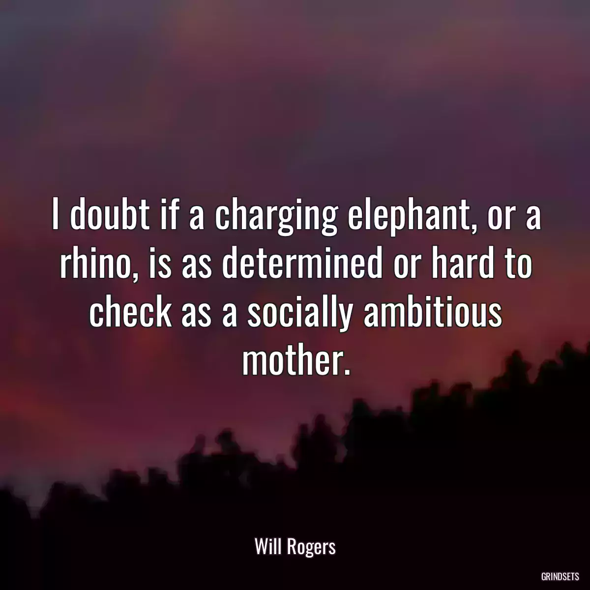 I doubt if a charging elephant, or a rhino, is as determined or hard to check as a socially ambitious mother.