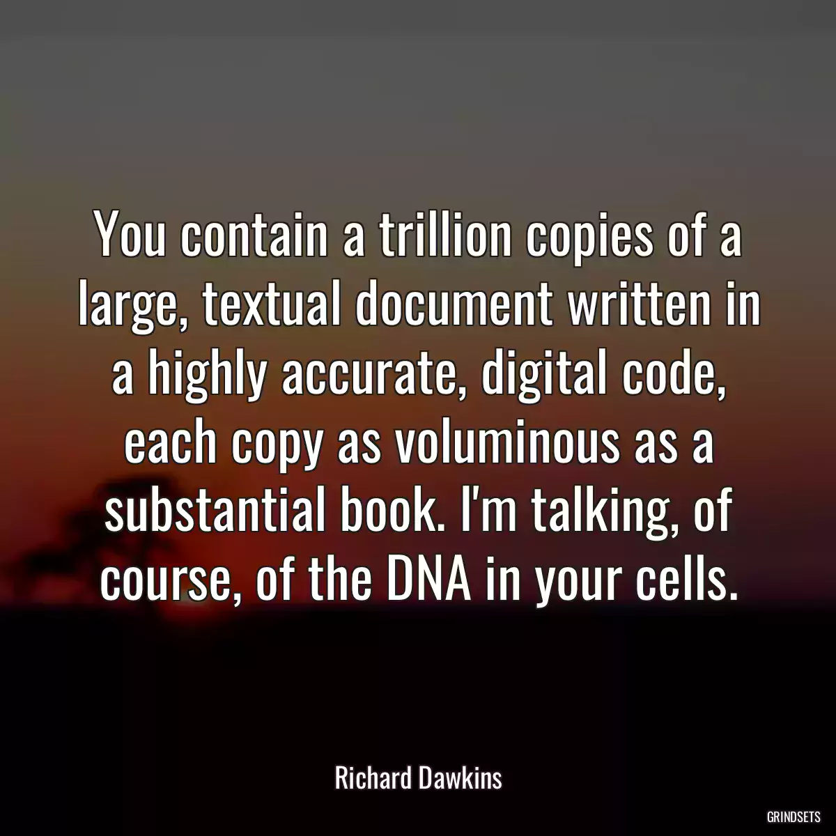 You contain a trillion copies of a large, textual document written in a highly accurate, digital code, each copy as voluminous as a substantial book. I\'m talking, of course, of the DNA in your cells.