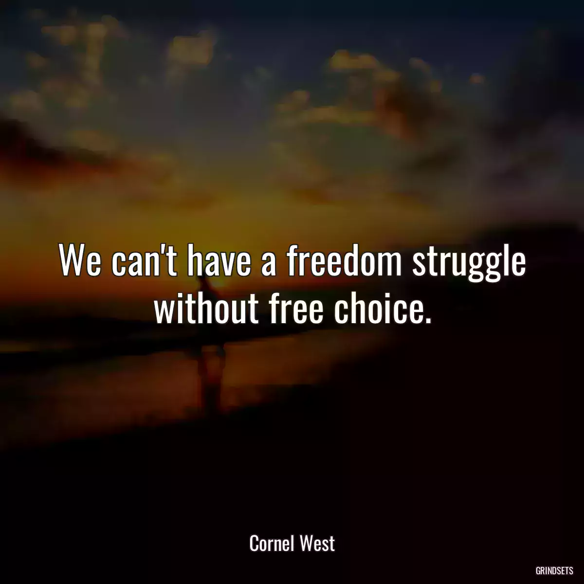 We can\'t have a freedom struggle without free choice.