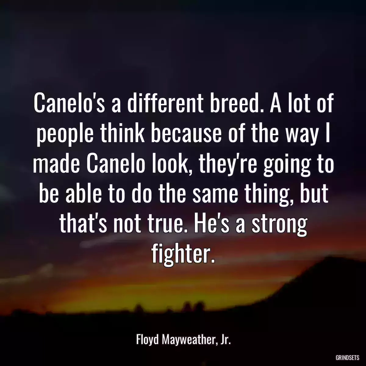 Canelo\'s a different breed. A lot of people think because of the way I made Canelo look, they\'re going to be able to do the same thing, but that\'s not true. He\'s a strong fighter.