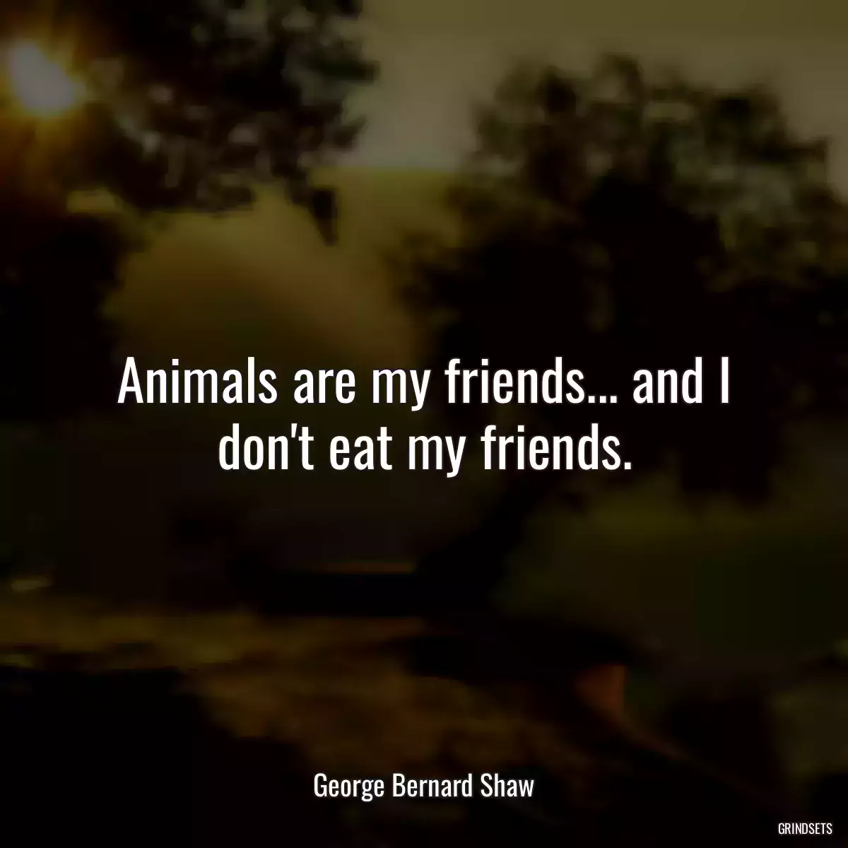 Animals are my friends... and I don\'t eat my friends.