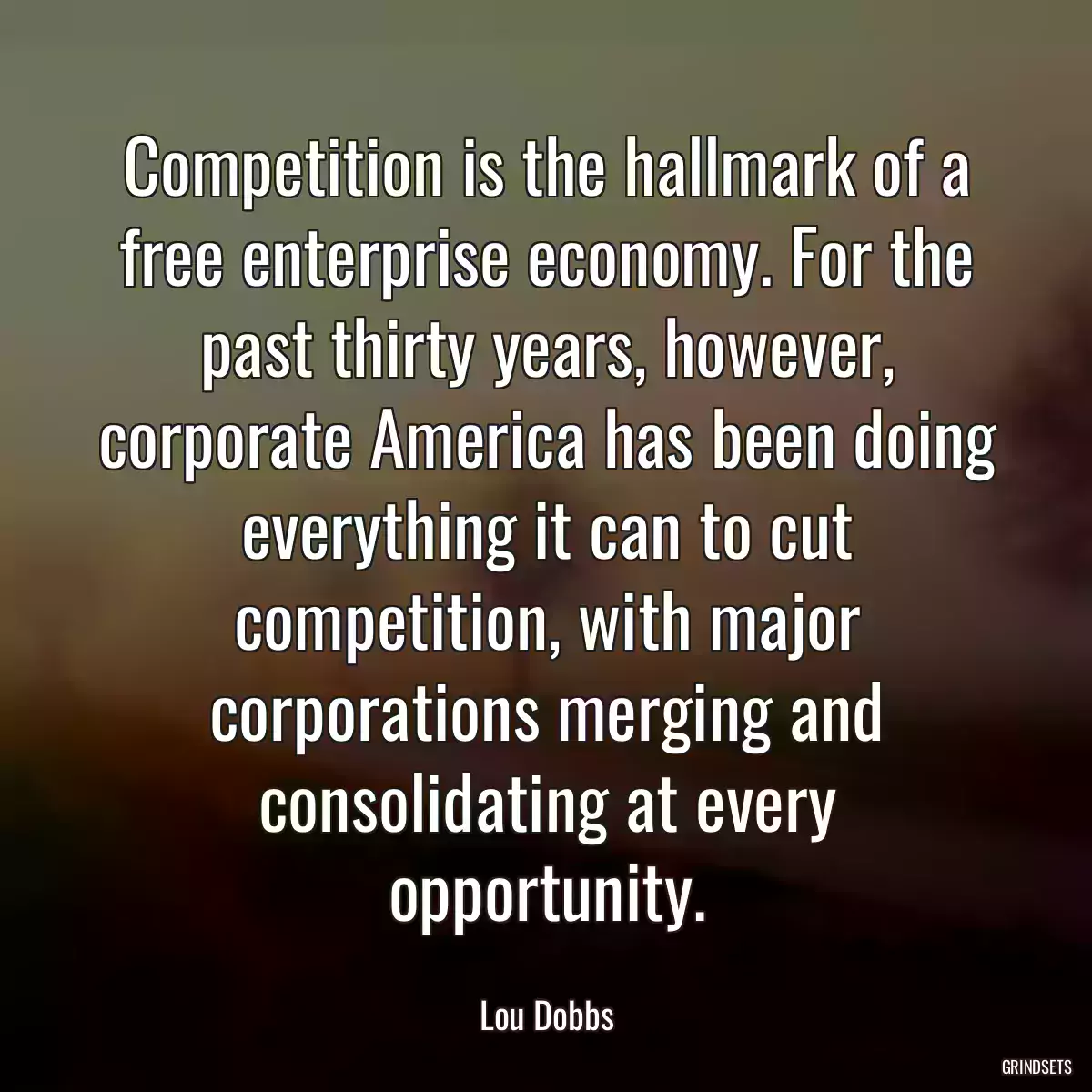 Competition is the hallmark of a free enterprise economy. For the past thirty years, however, corporate America has been doing everything it can to cut competition, with major corporations merging and consolidating at every opportunity.