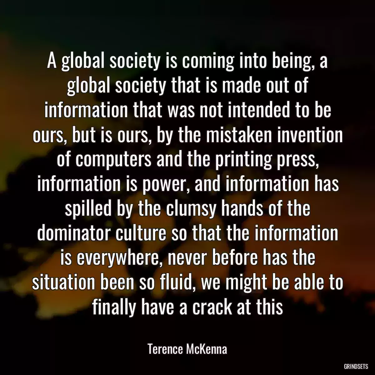 A global society is coming into being, a global society that is made out of information that was not intended to be ours, but is ours, by the mistaken invention of computers and the printing press, information is power, and information has spilled by the clumsy hands of the dominator culture so that the information is everywhere, never before has the situation been so fluid, we might be able to finally have a crack at this