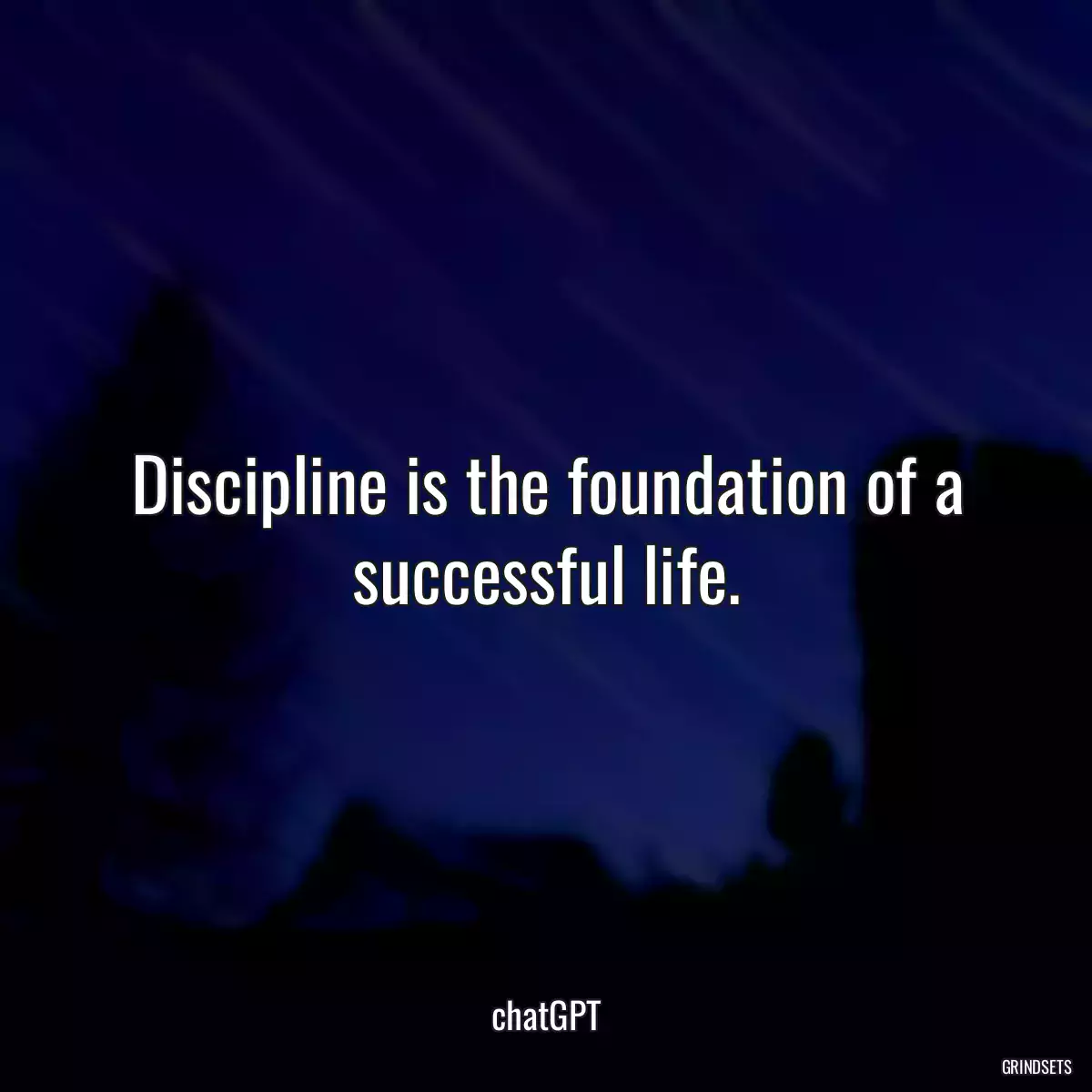 Discipline is the foundation of a successful life.