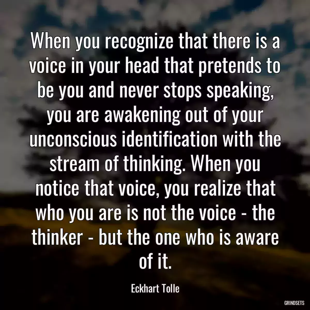 When you recognize that there is a voice in your head that pretends to be you and never stops speaking, you are awakening out of your unconscious identification with the stream of thinking. When you notice that voice, you realize that who you are is not the voice - the thinker - but the one who is aware of it.