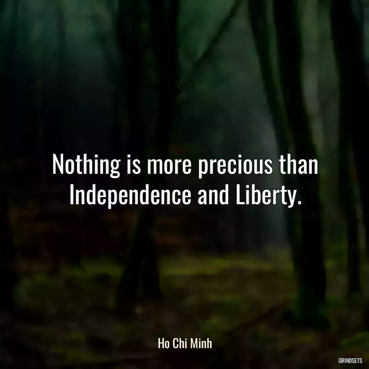 Nothing is more precious than Independence and Liberty.