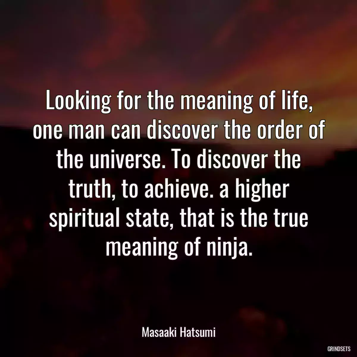 Looking for the meaning of life, one man can discover the order of the universe. To discover the truth, to achieve. a higher spiritual state, that is the true meaning of ninja.