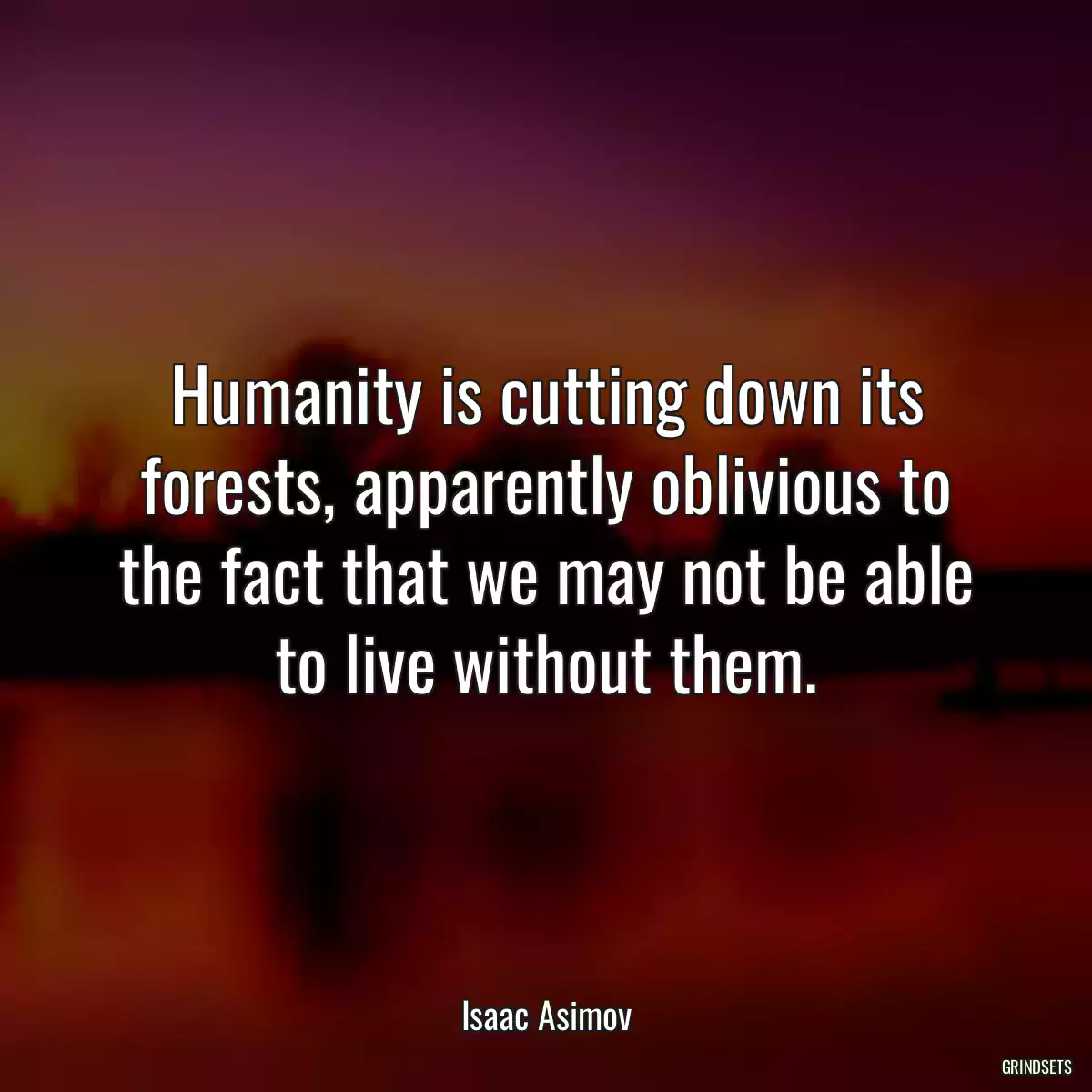 Humanity is cutting down its forests, apparently oblivious to the fact that we may not be able to live without them.