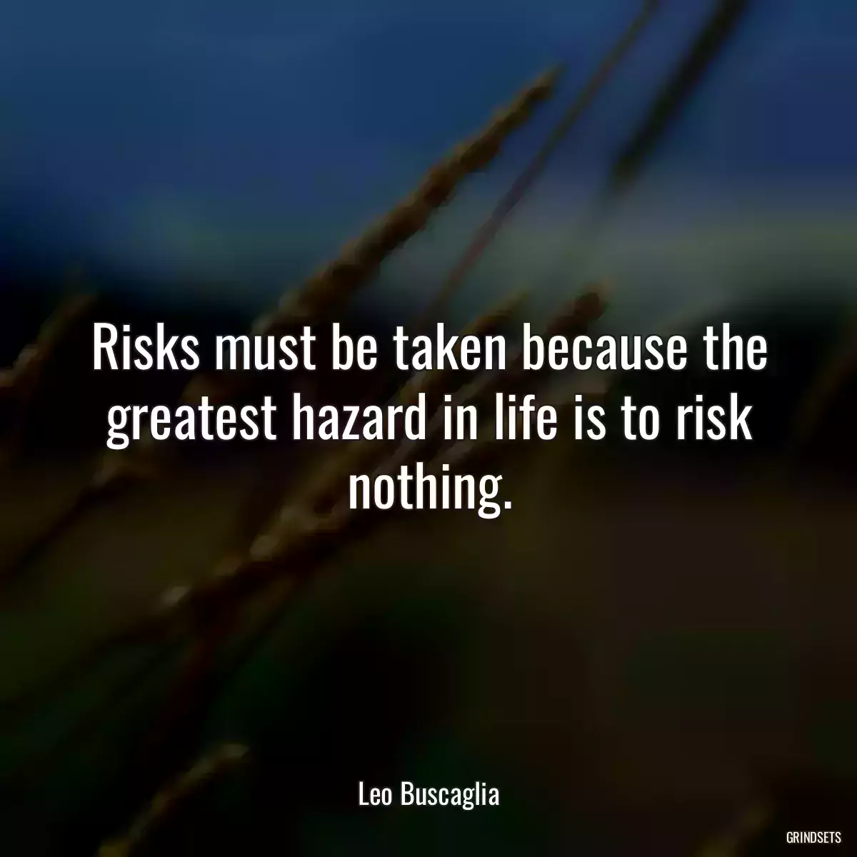 Risks must be taken because the greatest hazard in life is to risk nothing.