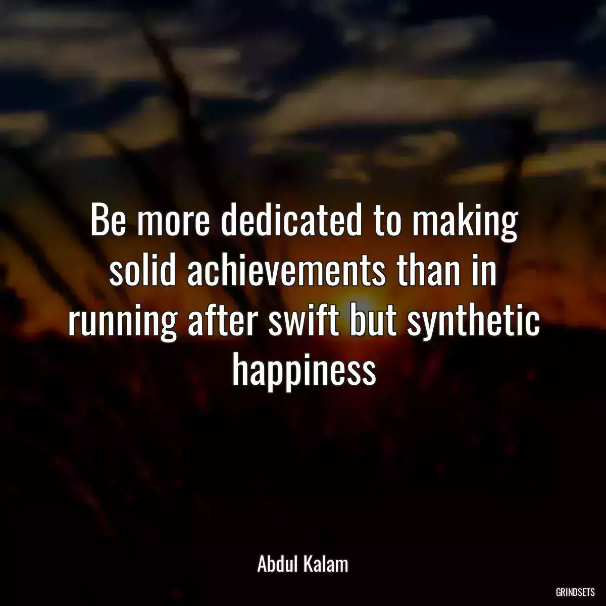 Be more dedicated to making solid achievements than in running after swift but synthetic happiness