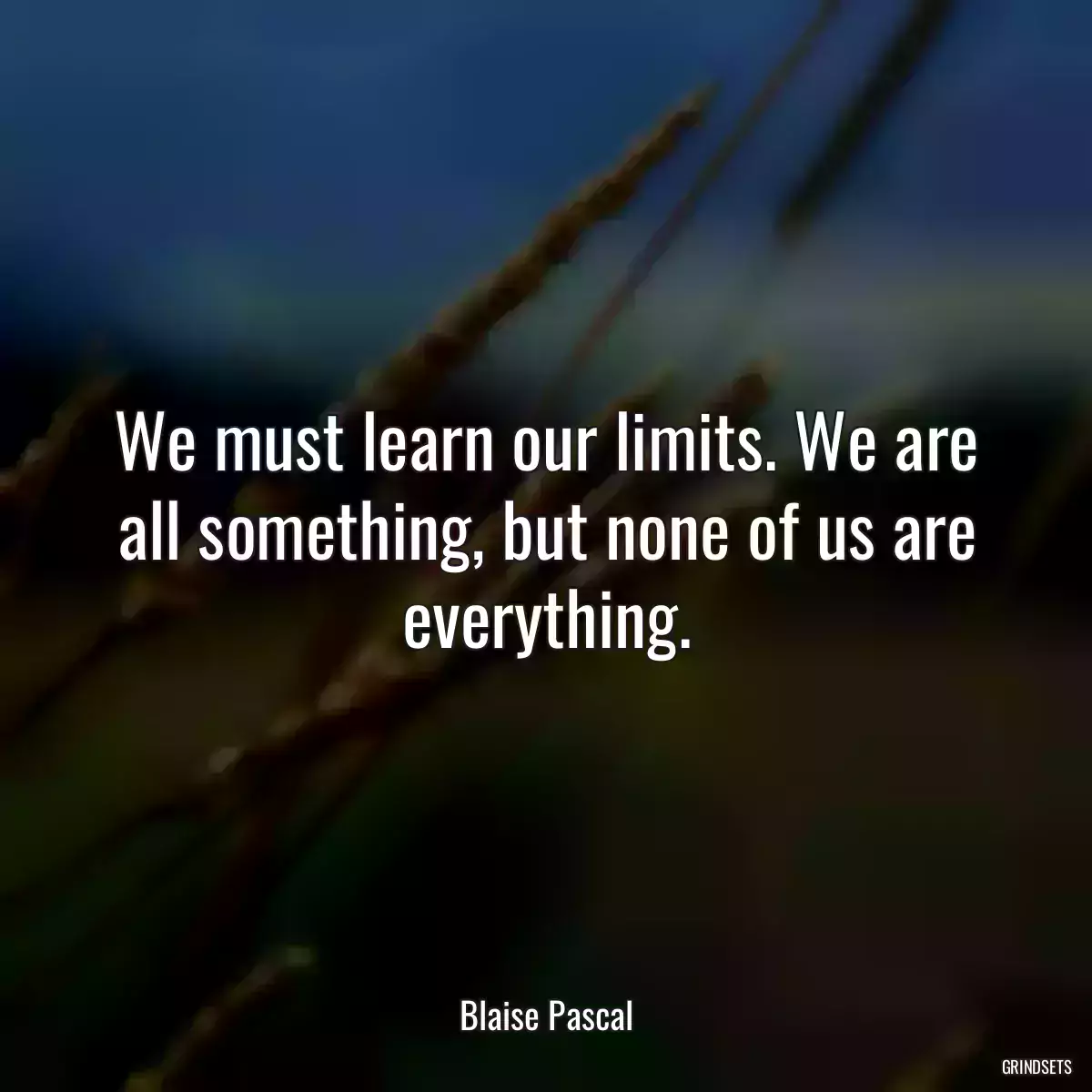 We must learn our limits. We are all something, but none of us are everything.