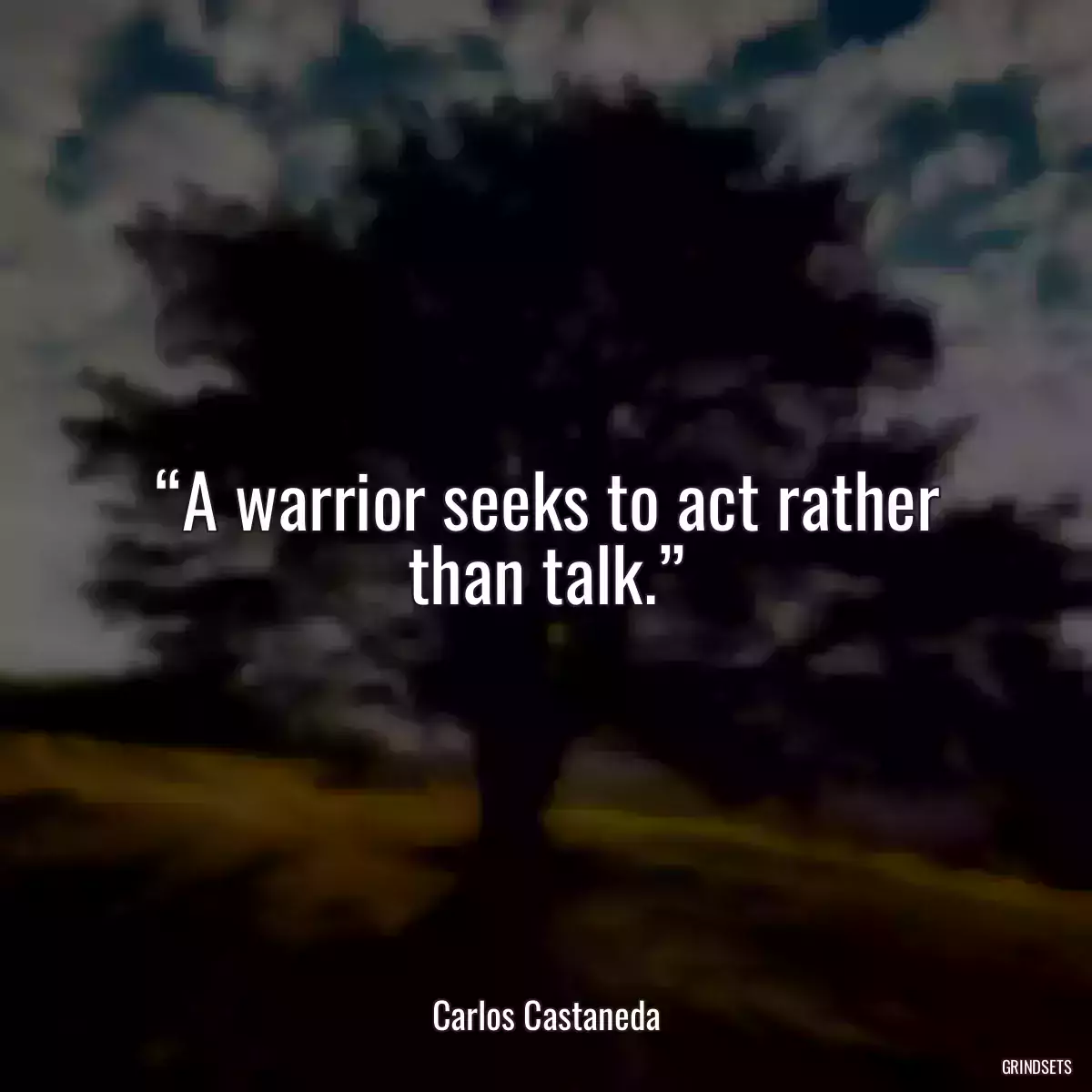 “A warrior seeks to act rather than talk.”