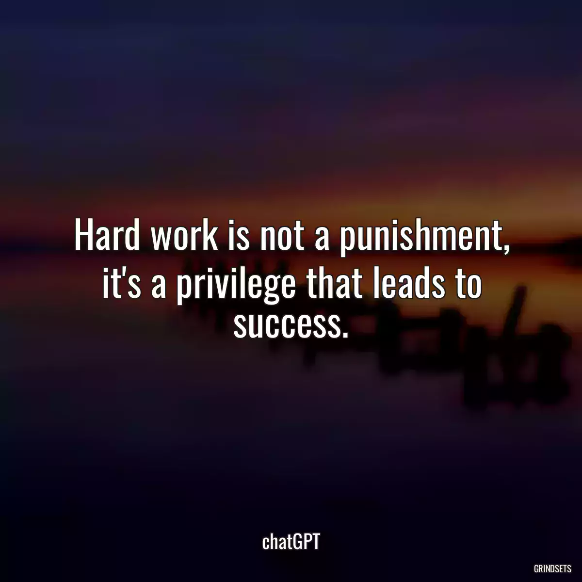 Hard work is not a punishment, it\'s a privilege that leads to success.